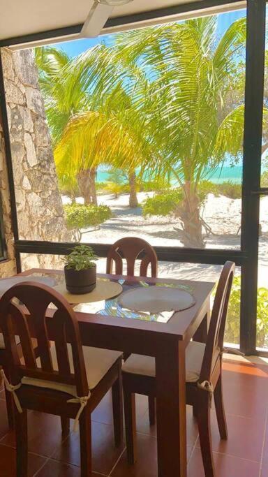 Beachfront Apartment With Swimming Pool. One Bedroom Celestun Ngoại thất bức ảnh