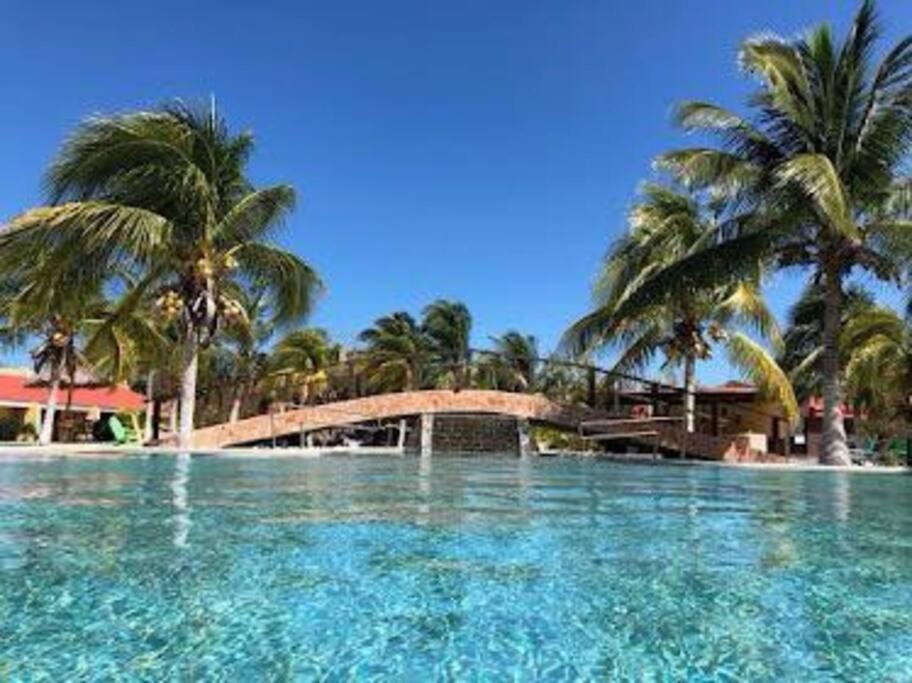 Beachfront Apartment With Swimming Pool. One Bedroom Celestun Ngoại thất bức ảnh